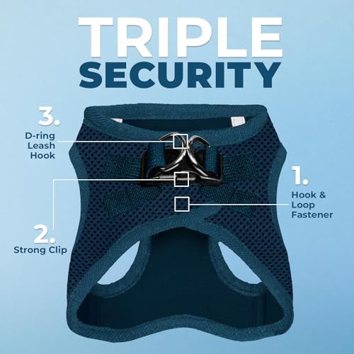 Best Pet Supplies Voyager Step-in Air All Weather Mesh Harness and Reflective Dog 5ft Leash Combo with Neoprene Handle, for Small, Medium and Large Breed Puppies - Blue, X-Lrage