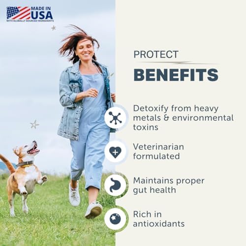 Four Leaf Rover Protect - Probiotics for Dogs - Veterinarian Formulated - with Natural Prebiotics and Antioxidants - Detoxification & Gut Health - 30 Day Large Dog Supply