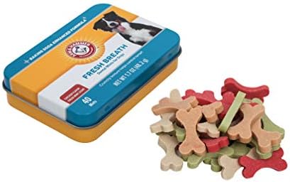 Arm & Hammer Advanced Care Dog Dental Breath Mints, Chicken, 1.7 Oz