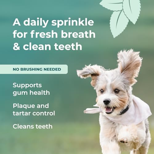 Googipet Dental Powder for Dogs Teeth Cleaning - Dog Dental Powder Breath Freshener & Plaque Remover - Tartar Remover for Dogs & Dog Breath Freshener Plaque Off W/Kelp, Parsley, Rosemary, & Mint