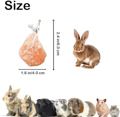 PINVNBY Salt Blocks for Rabbits,4 Pieces Himalayan Small Pets Lick Salt Block Natural Mineral Salts with Hook Hanging Small Animals Chew Toys for Horses Bunny