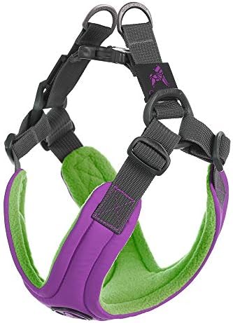 Gooby Escape Free Memory Foam Dog Harness, Step-in, Purple, Small