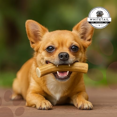 WhiteTail Naturals 12 Pack Whole Deer Antlers for Petite Dogs Up to 15 LBS