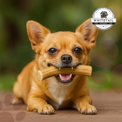 WhiteTail Naturals 12 Pack Whole Deer Antlers for Petite Dogs Up to 15 LBS