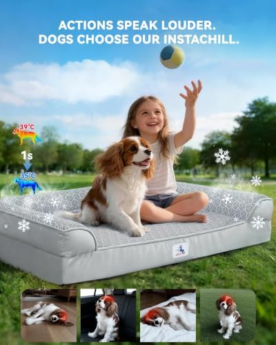 Cooling Dog Bed with PCM, Instant Chill Pet Sofa for Large, Indoor Outdoor