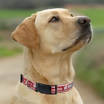 Pets First Collegiate PET Collar New Version Wisconsin Badgers Dog Collar, Size Large. Best Sports Team Color for Dogs & Cats. A Shiny & Colorful Dog & Cat Collar Licensed by The NCAA