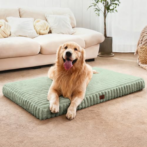 Medium Dog Bed Orthopedic Foam with Waterproof Lining