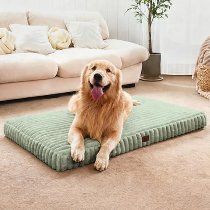 Medium Dog Bed Orthopedic Foam with Waterproof Lining