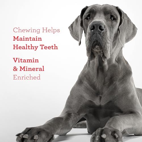 DreamBone Twist Stick Sirloin Rawhide-Free Dog Treats, 15 Count