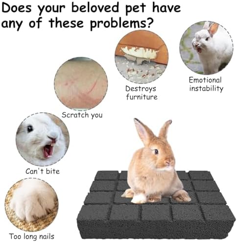 Hamiledyi 4PCS Rabbit Scratching Pads Bunny Lava Grinding Claw Pads Small Animal Foot Pads Hamster Scratch Board Chew Toys for Gerbil Chinchilla Hedgehog Guinea Pig Cage Accessories