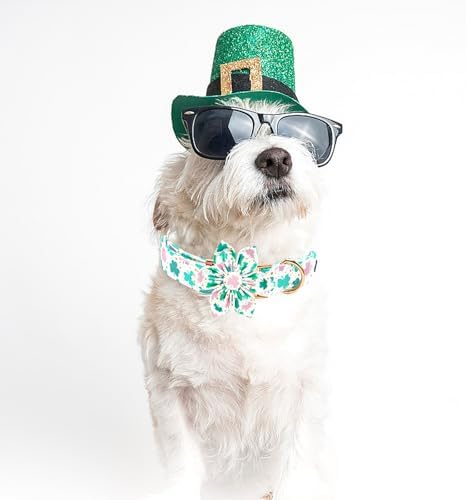 St Patrick's Day Dog Collar with Flower-Cute Trefoil Adjustable Pet Collar Cotton Clovers Puppy Collars Holiday Metal Buckle Collar for Large Dogs