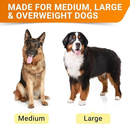 Senior Advanced Glucosamine for Dogs, Chondroitin Hip Joint Supplement Chew