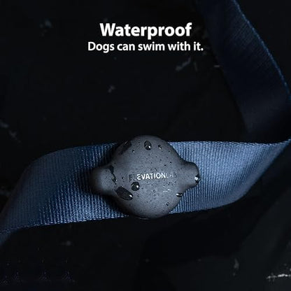 AirTag Dog Collar Holder - Compact - Elevation Lab (4 Pack)