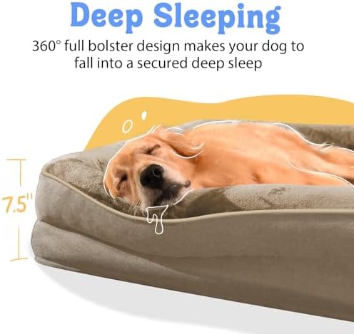 Chez Paw Orthopedic Washable XXL Dog Bed for Extra Large Dogs
