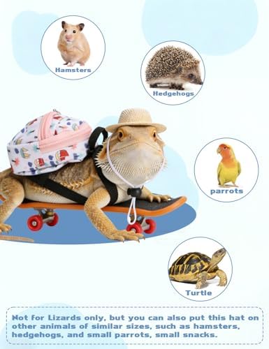 Bearded Dragon Clothes Lizard Toy - Mini hat,Skateboard,Backpack Gifts for Reptiles Pet - Cute Bearded Dragon Costume Accessories for Lizard Iguana Reptiles Small Animals (Rose Red)