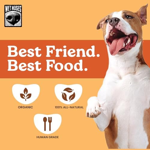 Wet Noses Organic Crunchy Dog Treats Grain Free – All-Natural, Human-Grade, Non-GMO, Healthy Training & Delicious Snacks for Dogs, for All Dog Sizes & Breeds – Pumpkin & Quinoa, 14oz (Single Pack)