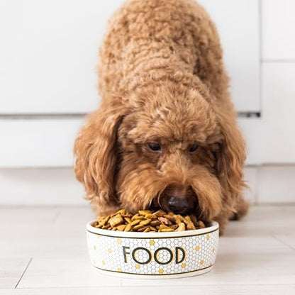 Pearhead Ceramic Dog Bowl, Small/Medium 2.25 Cups/ 18 oz, Bistro Tile