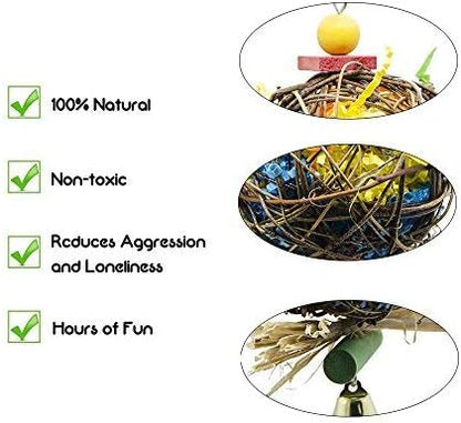 2 Pack Bird Cage Hanging Chewing Toy, Bird Shredding Toys for Parrots