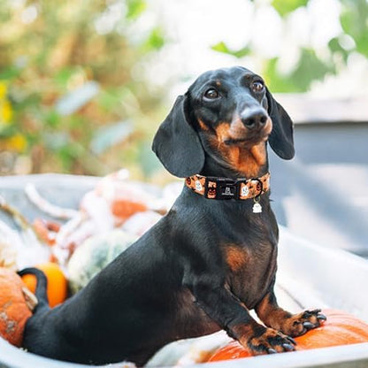 Lionheart glory Halloween Dog Collar-Pumpkin Ghosts Fall Dog Collars with Cute Ghost Pendant Soft Adjustable Collar for Small Dogs Girls Boys Collars Party Pet Gift