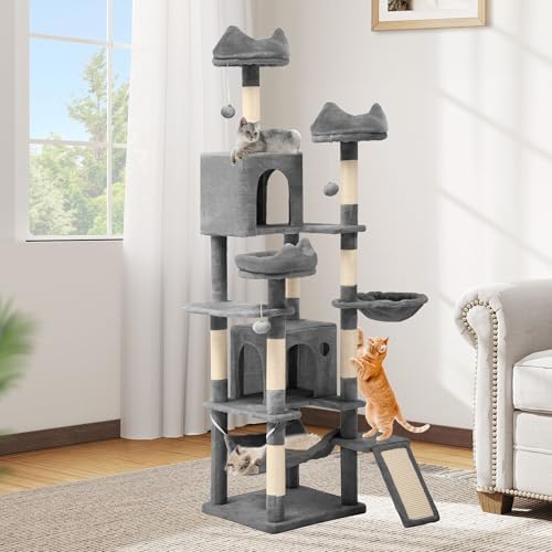 DWVO 75 in Multi‑Level Cat Tower