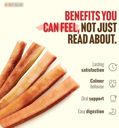 Natural Farm Extra-Thick 12-Inch Beef Bully Sticks Dog Chews (10-Pack) - Odor-Free Dental Treats for Dogs