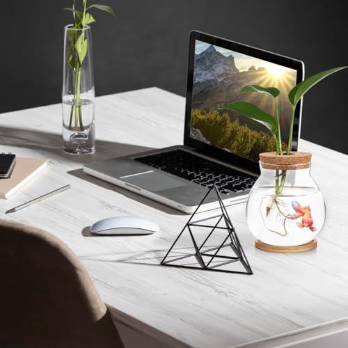 Balacoo Desktop Hydroponic Fish Bowl - Clear Glass Small Fish Tank