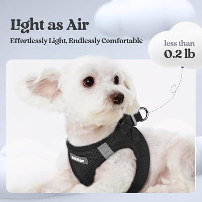 rabbitgoo Dog Harness Medium Sized and Leash Set, Step-in Puppy Pet Vest
