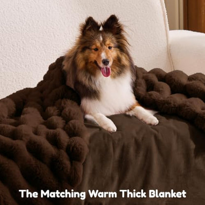 ChiXnuggle Orthopedic Human Dog Bed,Striped Faux Fur Washable Cover,Blanket