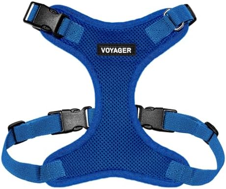 Voyager Step-in Lock Dog Harness - Royal Blue, X-Large
