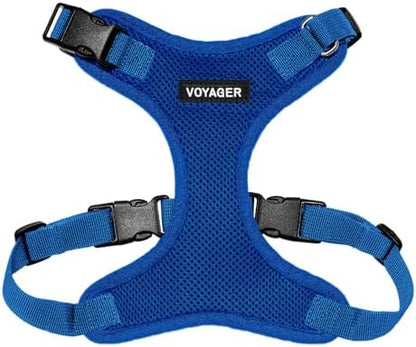 Voyager Step-in Lock Dog Harness - Royal Blue, Large