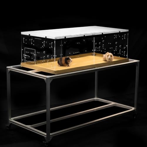 GuineaLoft™ Model-A5 Clear Acrylic Small Animal Cage for Guinea Pigs