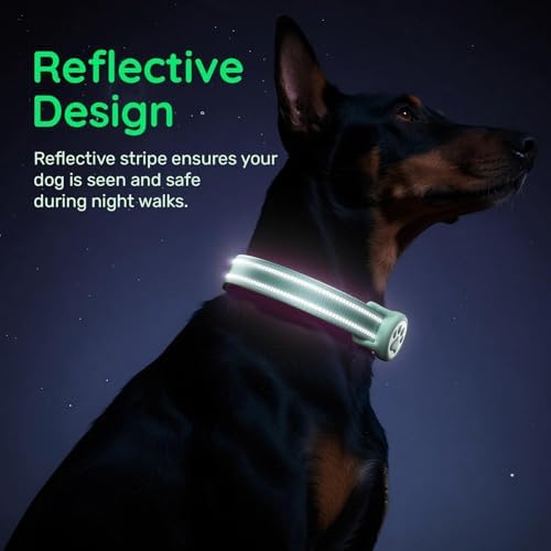 Premium Airtag Dog Collar，with IP68 Waterproof AirTag Holder,Green,XL