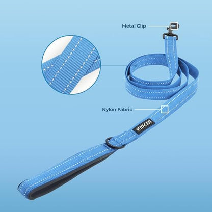 Best Pet Supplies Voyager Nylon Dog Leash - 6ft Baby Blue, Large