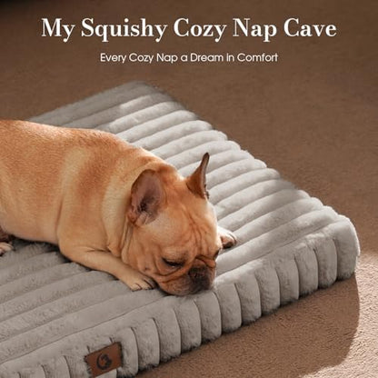 Extra Large Dog Bed Orthopedic Foam with Waterproof Lining