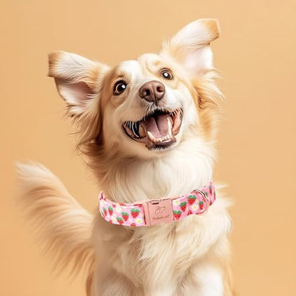 Strawberry Dog Collar for Puppy Small Dogs - Adjustable Spring Summer Pink Girl Dog Collars, Cute Girly Female Pet Collar with Metal Buckle XS