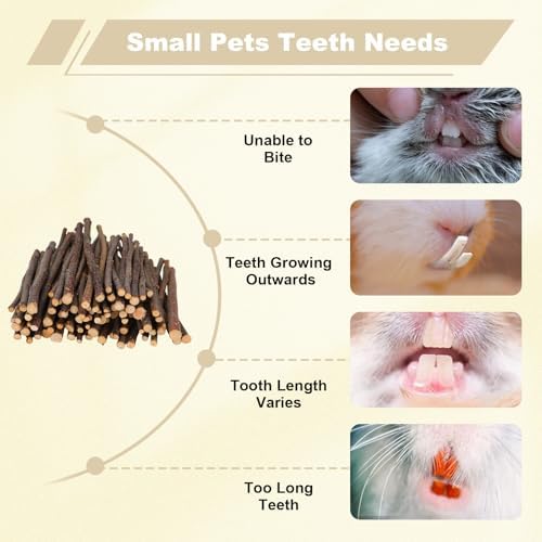900g Apple Sticks Wood Chew Sticks Toys for Rabbits Chinchillas Guinea Pigs Hamsters Bunny Molar Chew Treats Toys for Teeth, Small Animals Snacks