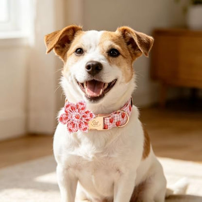 Elegant little tail Dog Collar with Flower, Pink Gingham Plaid with Strawberry Print Summer Girl Pet Collars Cute Puppy Collar Adjustable Collars for Small Medium Large Dogs, Summer Party, S