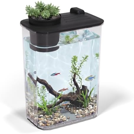 1 Gallon Betta Fish Tank Aquarium Starter Kit with Light and Lid(Black)