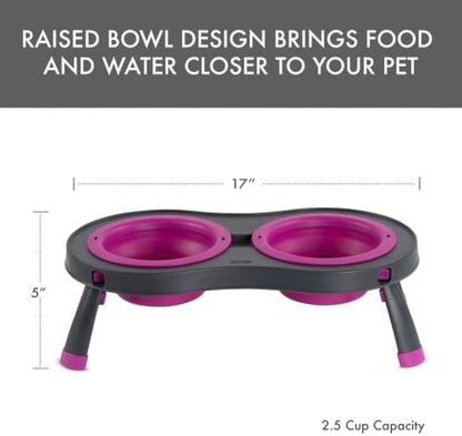 Dexas Pets Elevated Double Pet Feeder, Large, 2.5 Cup Capacity Bowls, Fuchsia, Raised Pet Food and Water Bowls
