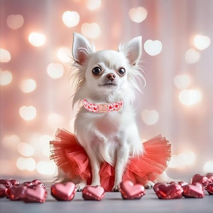 Valentines Dog Collar, Pink Heart Print Girl Dog Collars, Cute Valentine Puppy Collars, Adjustable Heavy Duty Pet Collar for Small Medium Large Dogs with Metal Buckle M