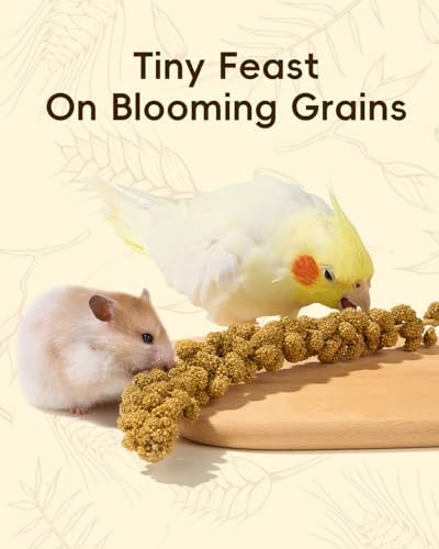 BUCATSTATE Natural Hamster Bedding Flowers & Herbs & Sprays