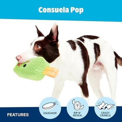 BarkBox BARK Consuela the Cactus Pop - 2-in-1 - Large