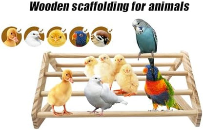 Chick Perch Chicken Coop Toys and Accessories,Chick Roosting Bar,Brooder for Baby Chicks,Strong Wooden Bird Perch. (Style 2, 14.4" x 10.7" x 6.7)