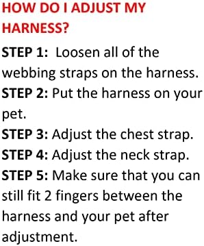 Best Pet Supplies Voyager Step-in Air All Weather Mesh Harness and Reflective Dog 5ft Leash Combo with Neoprene Handle, for Small, Medium and Large Breed Puppies - Baby Blue, Medium