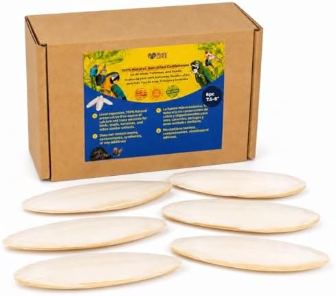 Birds LOVE 7.5-8" Cuttlebone for Birds – 100% Natural Sun-Dried Calcium Carbonate Mineral Supplement – for Parakeets, Budgies, Cockatiels, Finches & Canaries – 6 Pack with Holder – Made in Vietnam