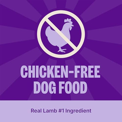 Wellness Simple Limited Ingredient Diet Adult Dry Dog Food, Wholesome Grain Kibble, Sensitive Stomach, Skin & Coat Support, Natural, Chicken Free, Lamb and Oatmeal Recipe, 26 lb Bag