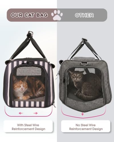 BurgeonNest Soft-Sided Cat Carrier for Cats up to 20 lbs