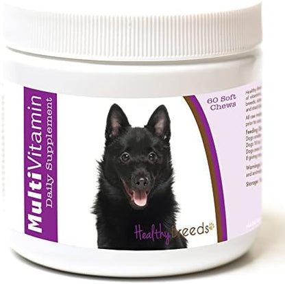 Healthy Breeds Schipperke Multi-Vitamin Soft Chews 60 Count (1127-schp-001)