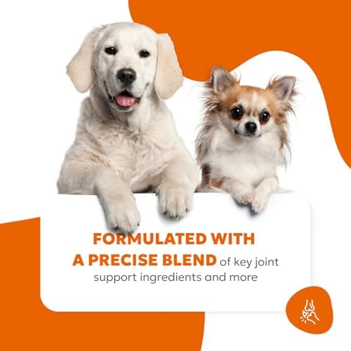 Dog Hip & Joint Supplement Soft Chews – Advanced Mobility & Comfort Support – Glucosamine, Chondroitin, MSM, Turmeric, Boswellia, Collagen – 60 Count