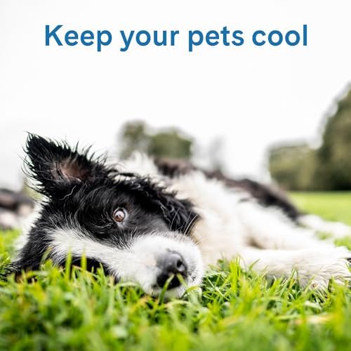 The Green Pet Shop Cool Pet Pad - Medium, Disney’s Stitch - Self-Cooling, Pressure Activated Mat for Dogs & Cats from 21-45 lbs - Non-Toxic Gel, No Water Needed